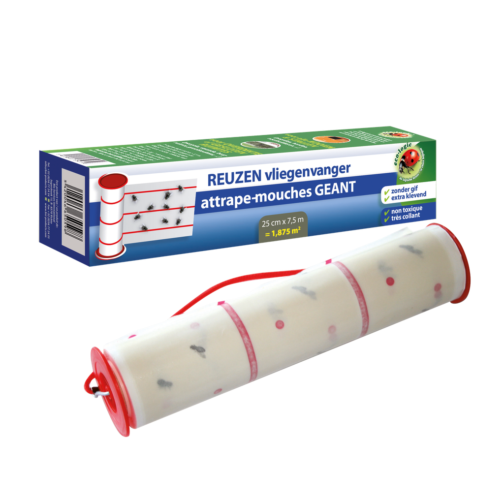 Reuzen - Vliegenvanger