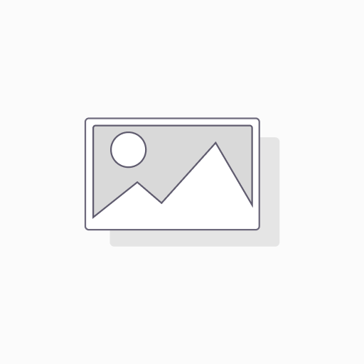 [04-9265-01] BINNENBAND D260MM
